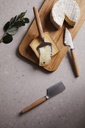 VINGA Retro cheese set