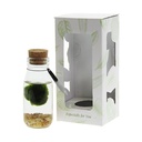 Marimo moss balls - bottle small in giftbox