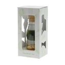 Marimo moss balls - bottle small in giftbox