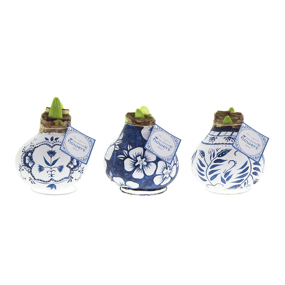 No Water Flowers® XL - Delft Blue limited edition