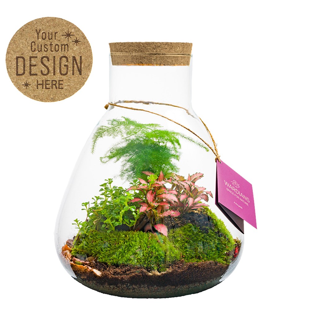 Plant terrarium erlenmeyer - ecosystem in giftbox