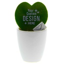 Message Printz® - Heartplant in giftbox